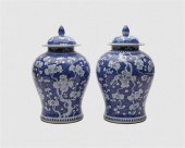 PAIR OF CHINESE BLUE AND   36812a