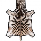 A Taxidermy Zebra Rug
8 feet x
