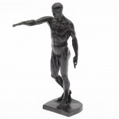 ANATOMICAL BRONZE OF A STANDING MALE