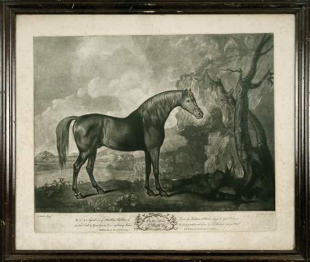 After George Stubbs BROWN HORSE 68dd0