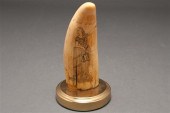 American scrimshaw whale tooth  78701