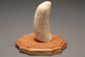 American scrimshaw whale tooth  78702