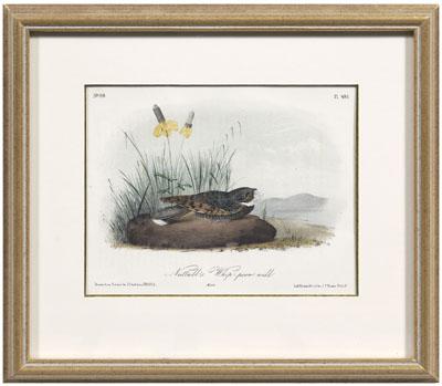 17 Octavo Audubon prints hand colored 90e2b