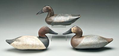 Three canvasback duck decoys: one