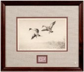 1938 Clark Federal duck stamp print,