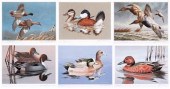 Six Federal duck stamp prints 1980 85  913b1