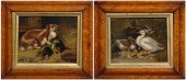 Pair Dutch School paintings: ducks and