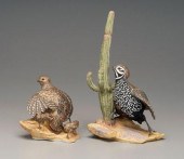 Boehm Mean's quails: male with cactus,