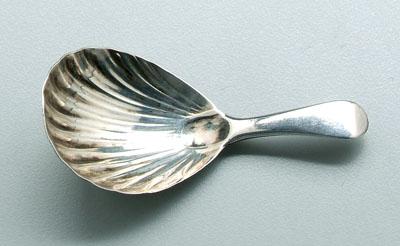 English silver tea caddy spoon, shell bowl,