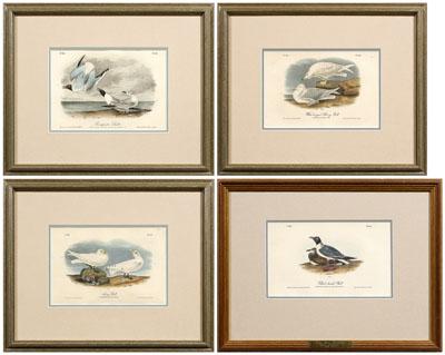 Four Audubon Royal Octavo prints  948aa