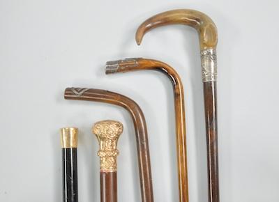 A Lot of Five Walking Sticks with b4702