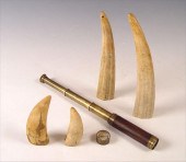 5 NAUTICAL COLLECTION, SCRIMSHAW, TUSKS,