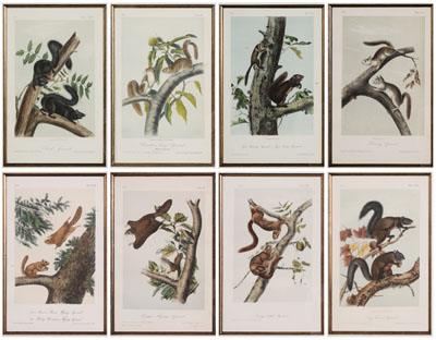 After John James Audubon New York  110f26
