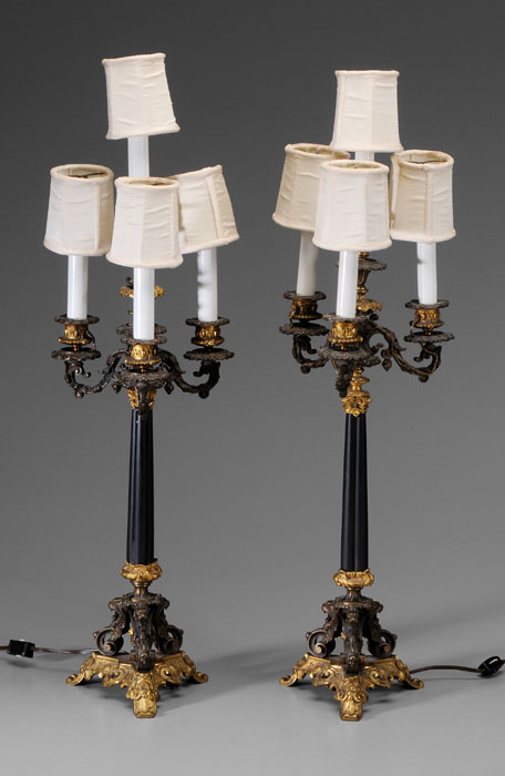 Pair Renaissance Revival Lamp Bases 117d1d