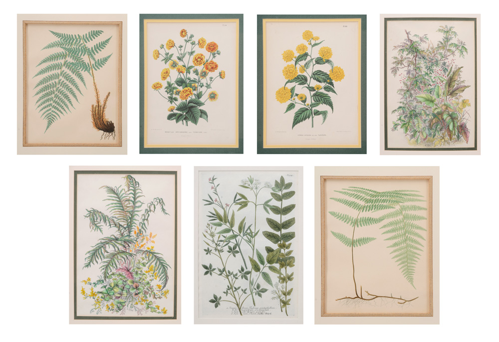 Seven Botanical Prints one pair 119223