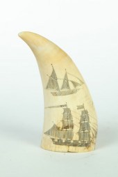SCRIMSHAW TOOTH.  New England  late