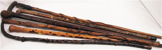Seven walking sticks two with 12072f