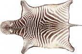 Zebra skin rug mounted on felt  139398