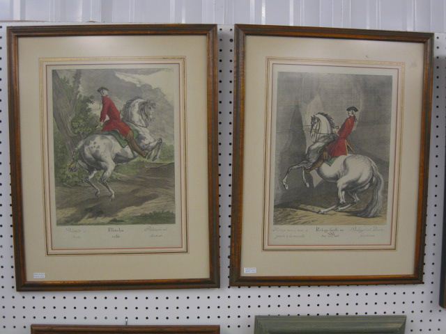Pair of Lipizzaner Stallions Handcolored 14a3f1