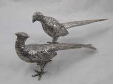 A pair of German silver pheasants 14f37b