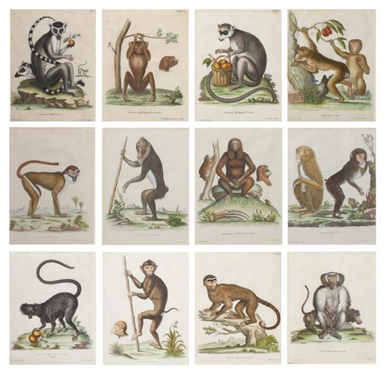 A Set of Twelve French Handcolored 152616