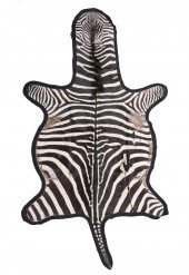 An African Zebra Hide Rug the entire 153fd9