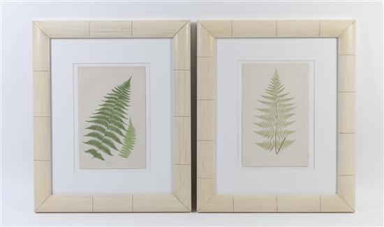 Five botanical prints depicting 153ff3