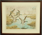 Framed and matted print of mallard ducks
