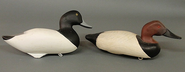 Paint decorated canvasback duck