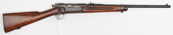  Springfield Armory Model 1896 15f395