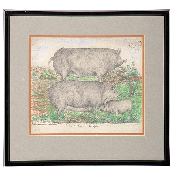 Kentucky Folk Art Drawing of Pigs 15f82a