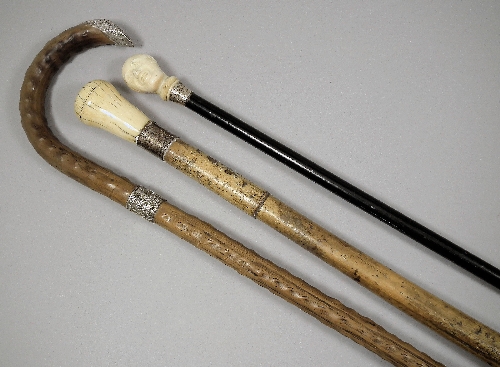 An ebony cane with ivory cane handle 15d8c9