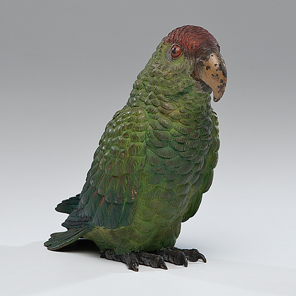 Austrian Cold Painted Bronze Parrot 160f2e