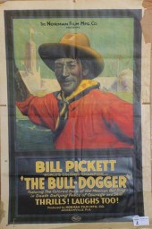 African American Film Poster The Bull