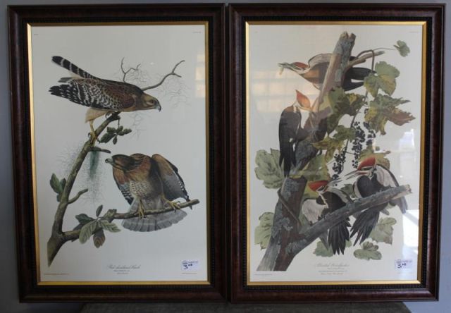 Pair of Limited Edition Audubon