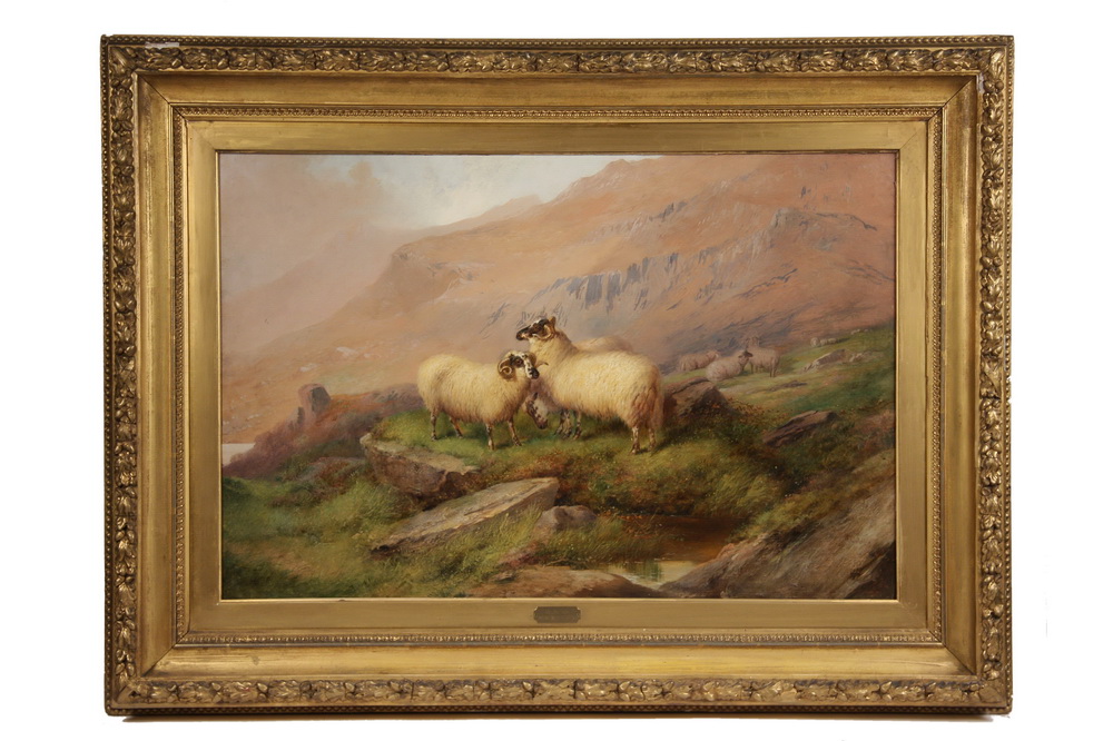 OOC - Highland Sheep by William