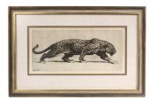 ETCHING - Striding Leopard by Herbert
