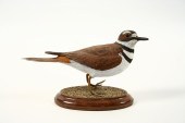 BIRD CARVING - Hand carved and painted