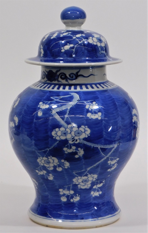 CHINESE BLUE WHITE PRUNIS DECORATED 29bf74