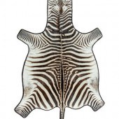 A Zebra Hide Rug 3 feet 11 inches 2a7015