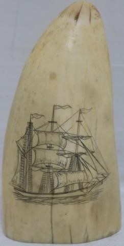 EARLY 20TH CENTURY SCRIMSHAW WHALES