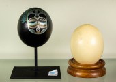  LOT OF 2 OSTRICH EGGS Lot of 2cdc66