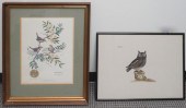 THE LITTLE OWL, ENGRAVING AND AFTER