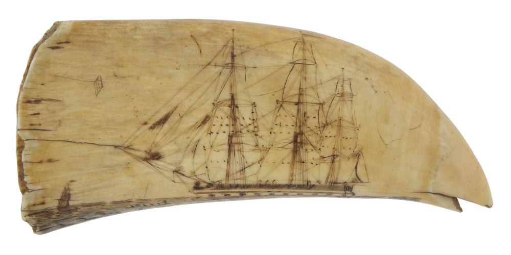POLYCHROME SCRIMSHAW WHALE S TOOTH 2f1277