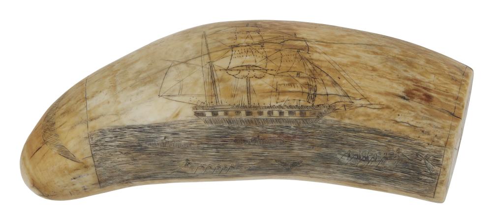 POLYCHROME SCRIMSHAW WHALE S TOOTH 2f1280