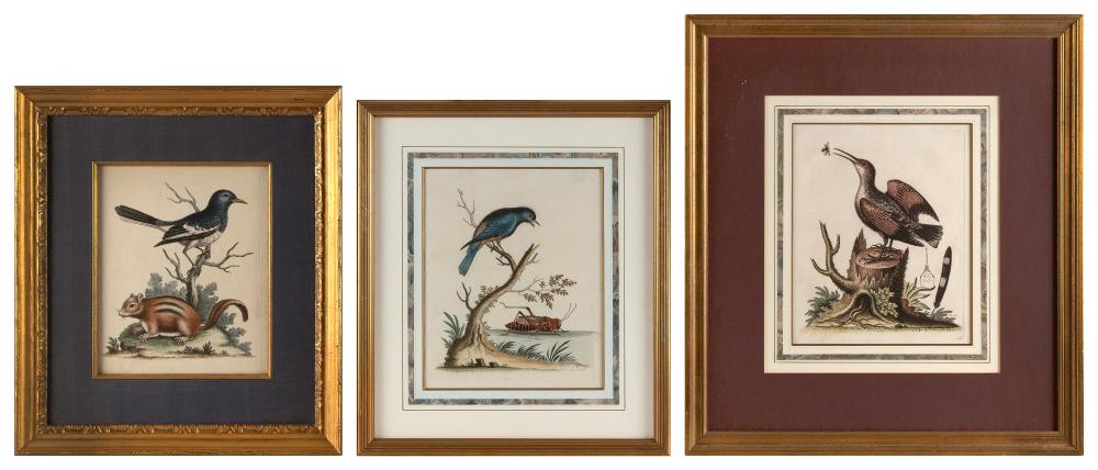THREE HAND COLORED ENGRAVINGS BY 2f2300