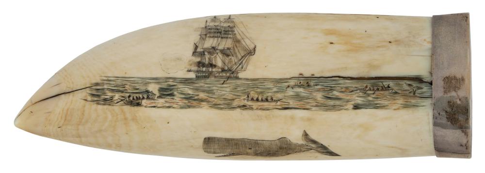POLYCHROME SCRIMSHAW WHALE S TOOTH 2f2841