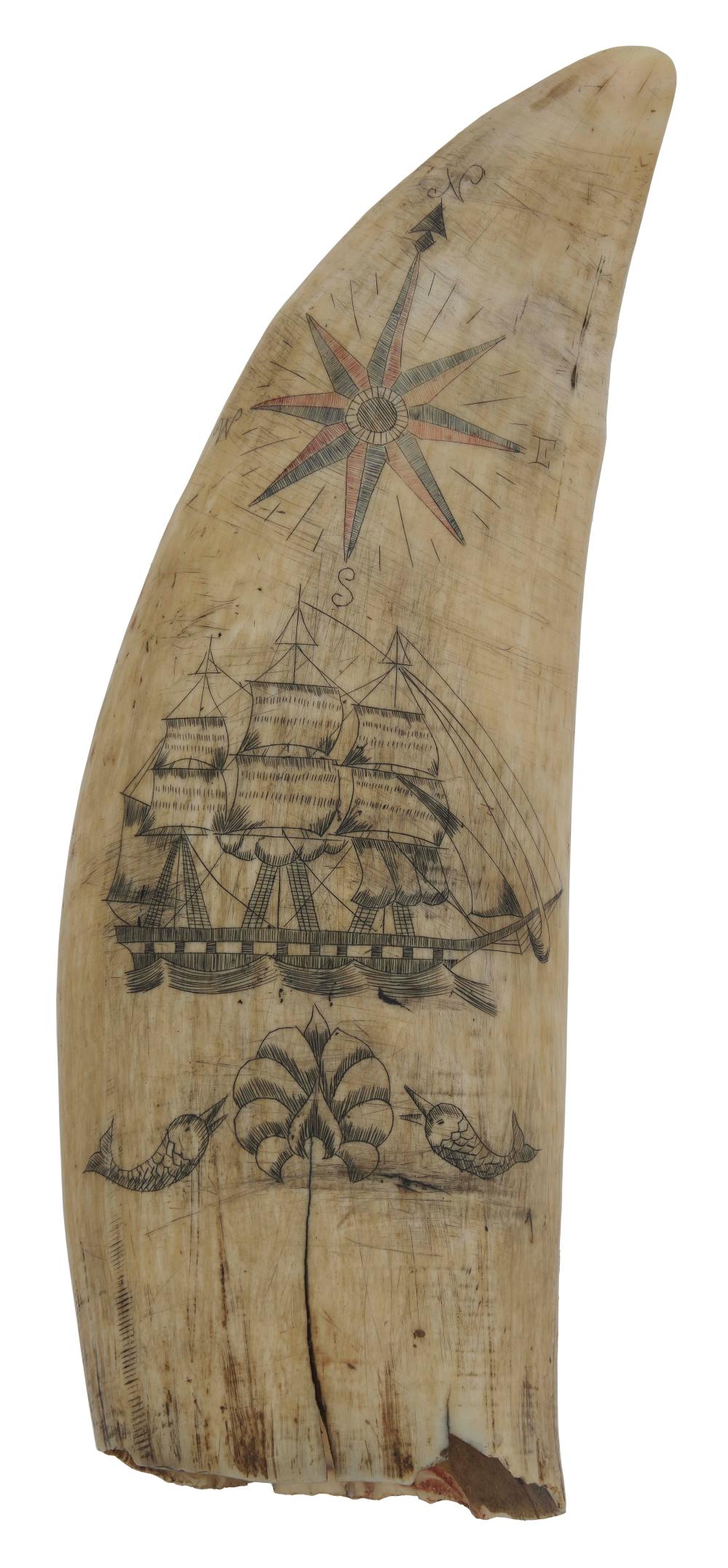 POLYCHROME SCRIMSHAW WHALE S TOOTH 2f283d
