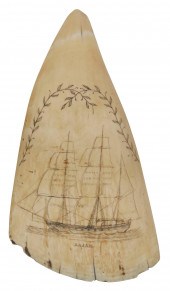 SCRIMSHAW WHALE S TOOTH 19TH CENTURY 2f285f