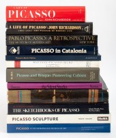PABLO PICASSO REFERENCE BOOK 12 2fc13b